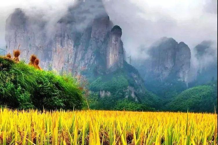 沪江开心词场
