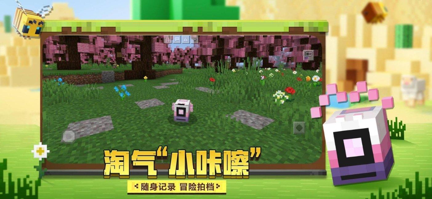 茜杰和莉斯大改造