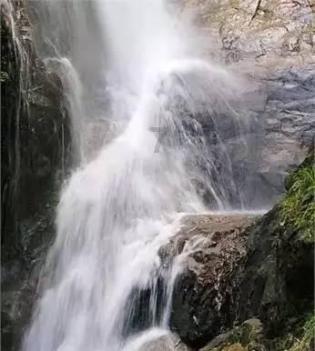 三亚近海发现剧毒僧帽水母?专家辟谣!